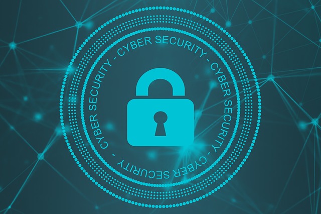 Top 5 Cyber Security Risks for your Business